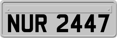 NUR2447