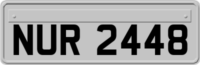 NUR2448