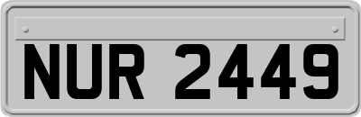 NUR2449