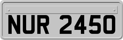 NUR2450