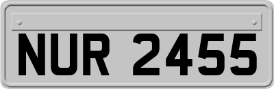 NUR2455