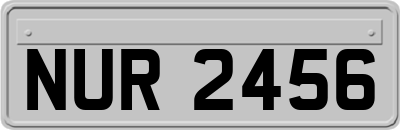 NUR2456