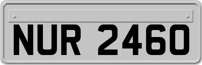 NUR2460