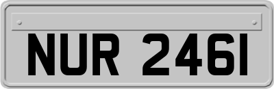 NUR2461
