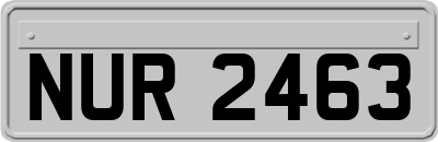 NUR2463