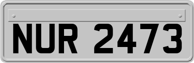 NUR2473