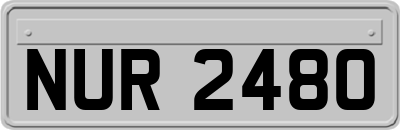 NUR2480