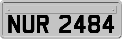 NUR2484