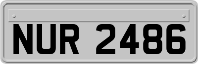 NUR2486