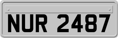 NUR2487