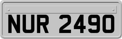 NUR2490