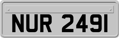 NUR2491