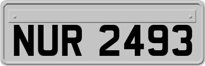 NUR2493