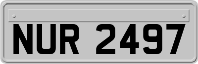 NUR2497