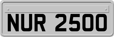 NUR2500