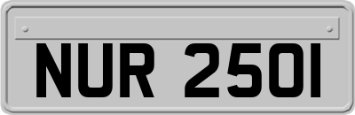 NUR2501