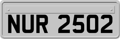 NUR2502