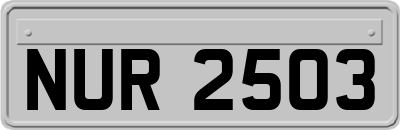 NUR2503