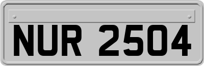 NUR2504