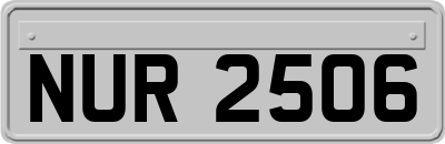NUR2506