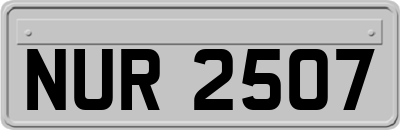 NUR2507