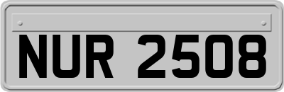 NUR2508