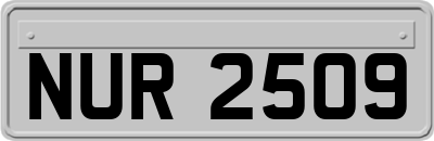 NUR2509