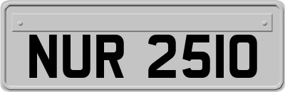 NUR2510