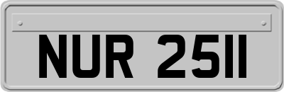 NUR2511