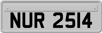 NUR2514