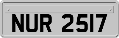 NUR2517