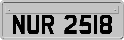 NUR2518