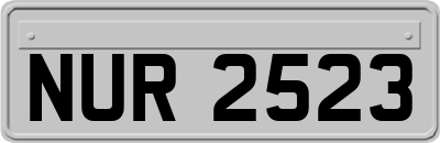 NUR2523