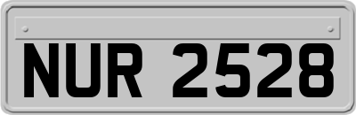 NUR2528