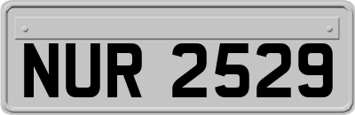 NUR2529