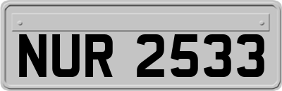 NUR2533