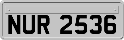 NUR2536