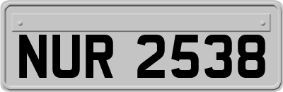 NUR2538