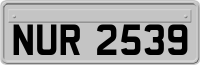 NUR2539