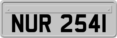 NUR2541