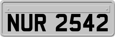 NUR2542