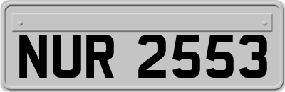 NUR2553