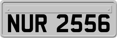 NUR2556