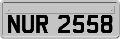 NUR2558
