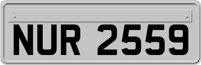 NUR2559
