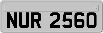 NUR2560