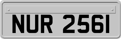 NUR2561