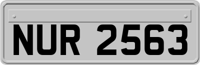 NUR2563