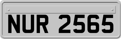 NUR2565