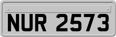 NUR2573
